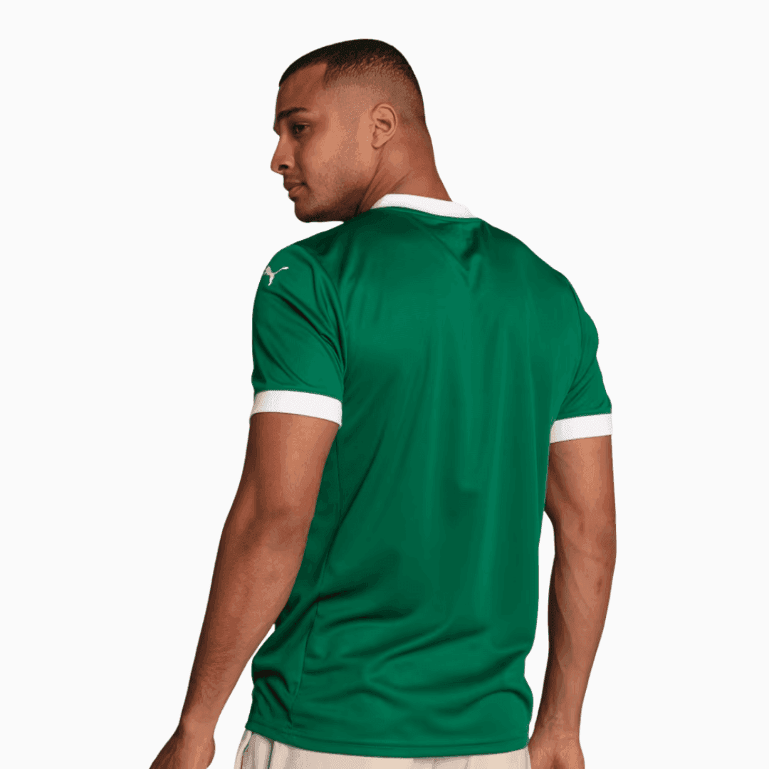 Camisa Puma Palmeiras 2025/26 I - Richard Rios N° 8