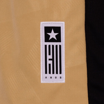 Camisa Goleiro Reebok Botafogo 2024/25 II